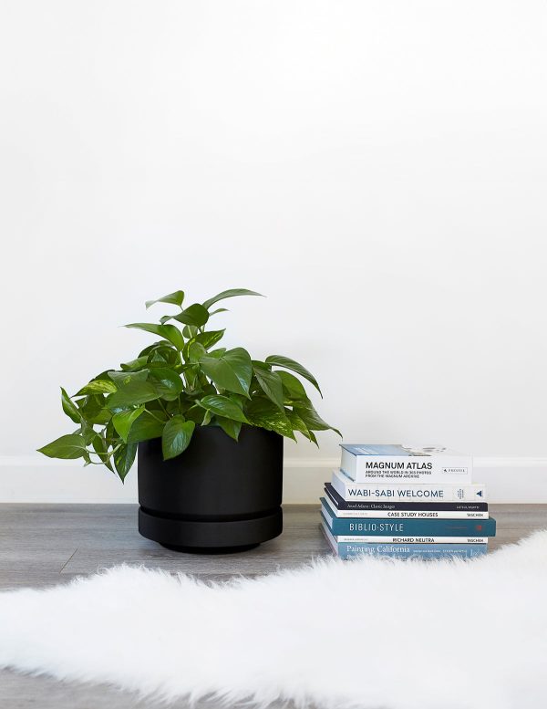 Round Two Planter Online Hot Sale - Image 5