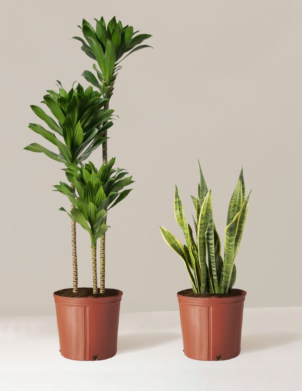 Modern Office Duo Supply - Image 3